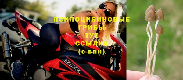 ешки Нея